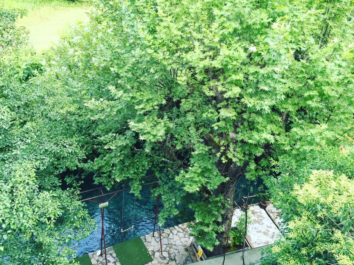 Yuvarlakcay Cinar Butik Hotel Koycegiz  Extérieur photo