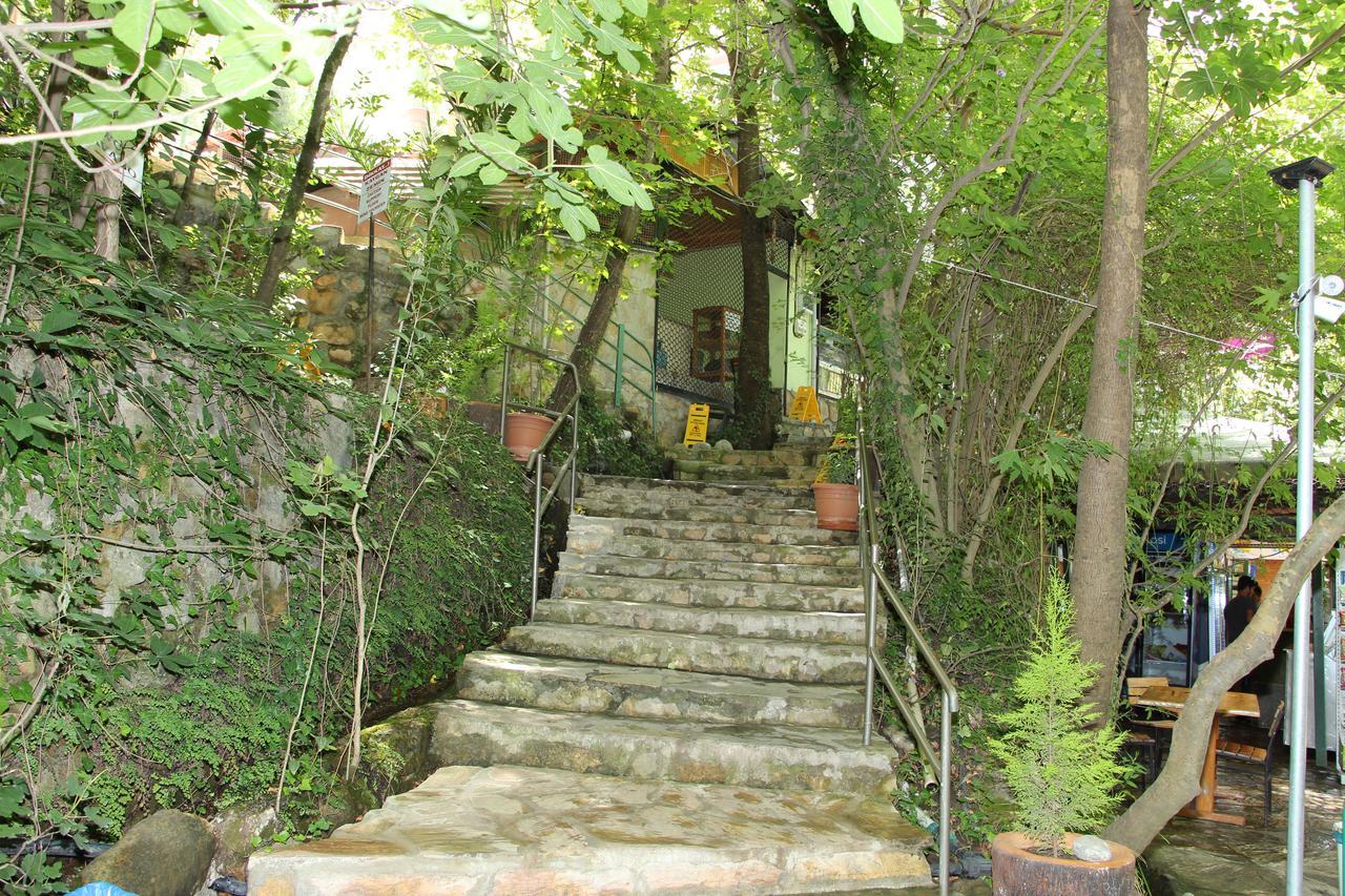 Yuvarlakcay Cinar Butik Hotel Koycegiz  Extérieur photo